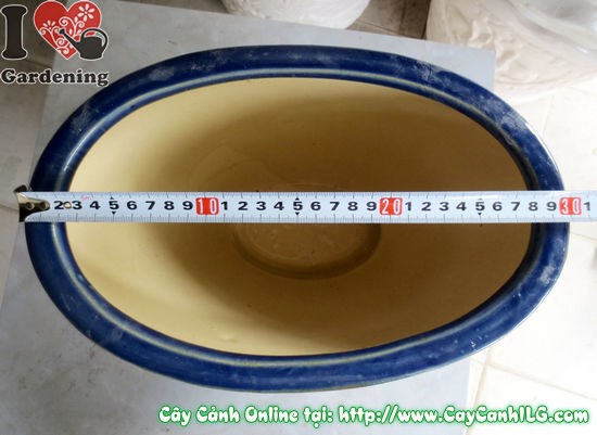 Chậu bầu dục men xanh dương cao 25cm hình ảnh thực tế