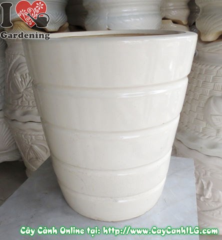 Chậu giỏ men trắng tròn mẫu 2 lớn – nhìn tổng thể