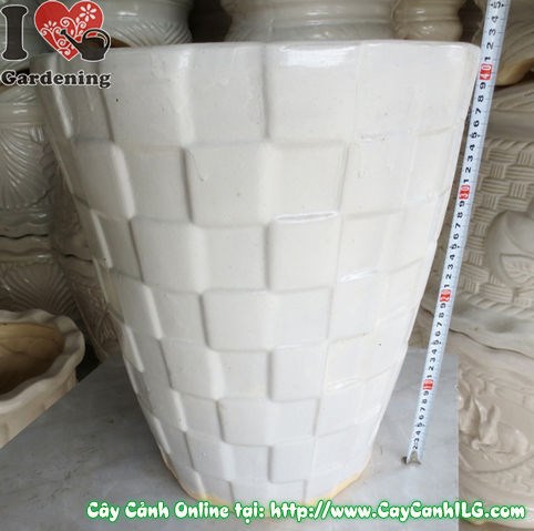 Chậu men trắng tròn mẫu 3 nhìn từ góc độ khác - ILG