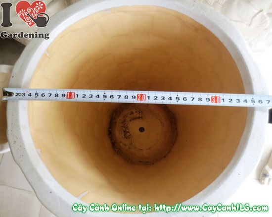 Chậu Giỏ Men Trắng Tròn Mẫu 3 ứng dụng trang trí không gian - ILG