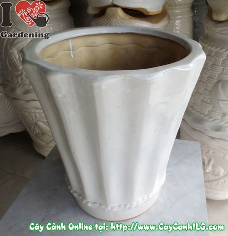 Chậu khế men trắng tròn cao 39cm – góc nghiêng