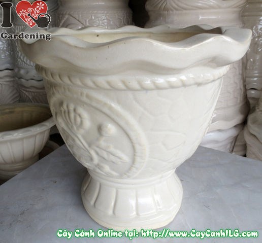 Chậu ly men trắng tròn mẫu 2 cao 31cm – bề mặt men chi tiết