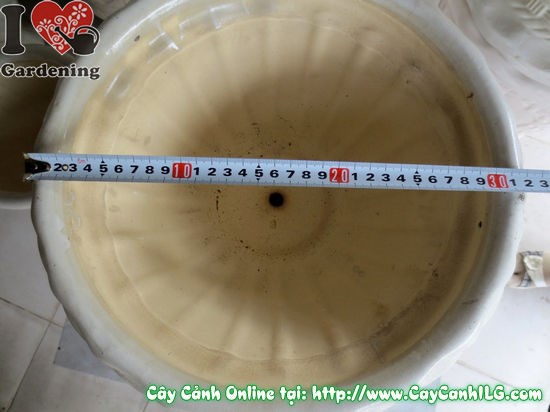 Chậu ly men trắng tròn mẫu 6 cao 29cm – phù hợp cây nội thất
