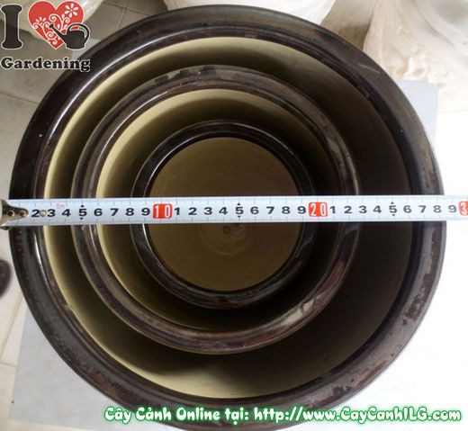 Chậu men đen tròn nhẵn – bộ sưu tập đầy đủ các kích thước