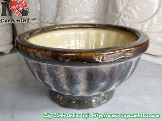 Chăm sóc cây trồng trong Chậu Men Nâu Đen đúng cách