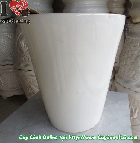 Chậu men trắng tròn nhẵn 40cm – góc nghiêng, thấy độ sâu chậu