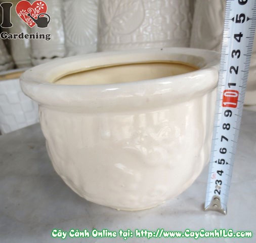 Chậu men trắng tròn thấp mẫu 1 – góc nhìn nghiêng, miệng rộng 16cm