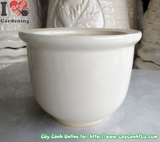 Chậu men trắng tròn thấp mẫu 3 cao 12cm - ưu điểm nổi bật
