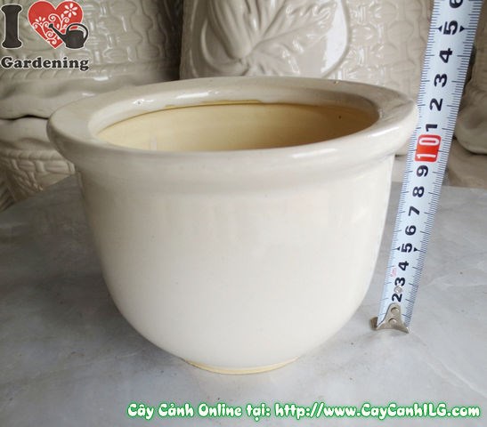 Chậu men trắng tròn thấp mẫu 3 cao 12cm - hình ảnh thực tế góc chụp 4