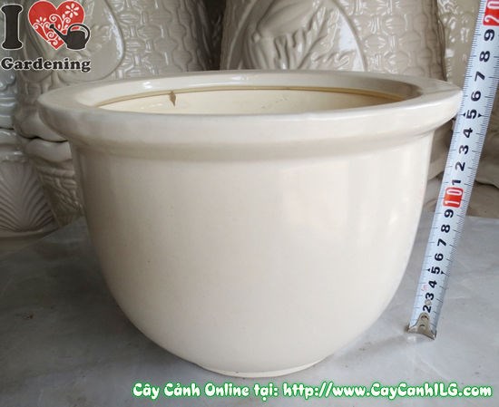 Chậu men trắng tròn thấp mẫu 3 16cm chi tiết bề mặt men