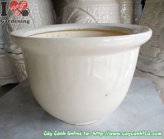 Chậu men trắng tròn thấp mẫu 3 Ms 04925 - góc nhìn chi tiết