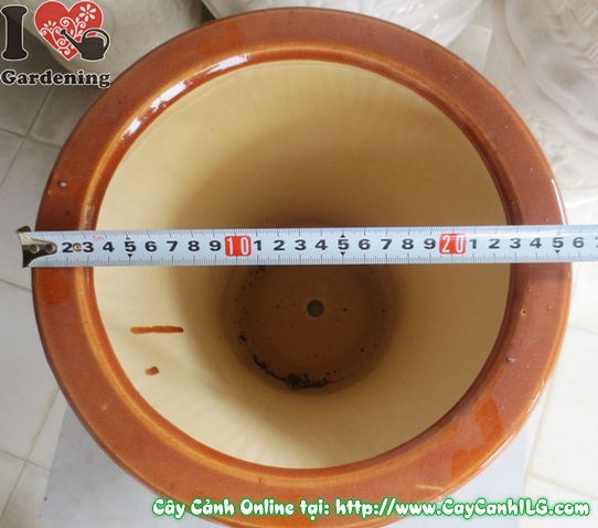 Chậu trúc men nâu tròn thắt đáy – mẫu nhỏ thanh lịch