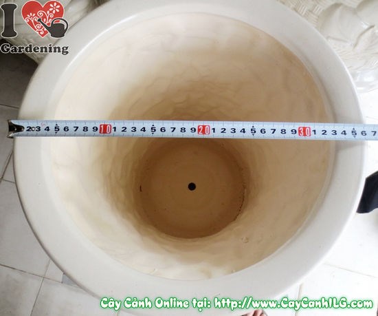 Chậu trúc men trắng thắt đáy mẫu 3 ứng dụng cảnh quan