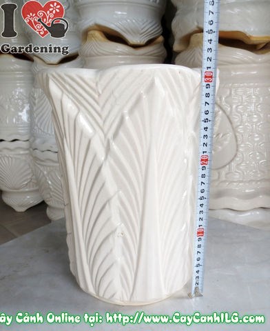Chậu trúc men trắng tròn túm đáy mẫu 1 - gợi ý cây trồng