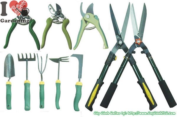 dụng cụ cắt tỉa cây cảnh chuyên nghiệp ILG