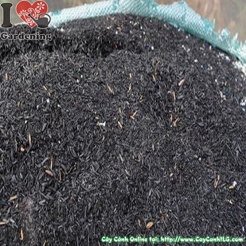Tro trấu trồng cây chất lượng cao ILG