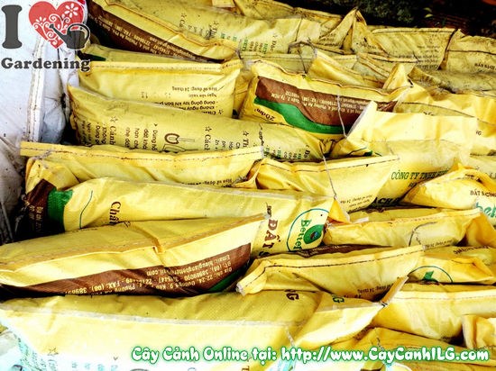 Chất lượng đất sạch tơi xốp chuyên dụng cây cảnh ILG