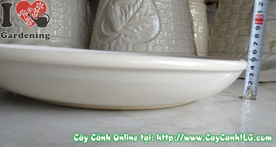 Hướng dẫn chọn kích thước dĩa lót men trắng phù hợp chậu cây