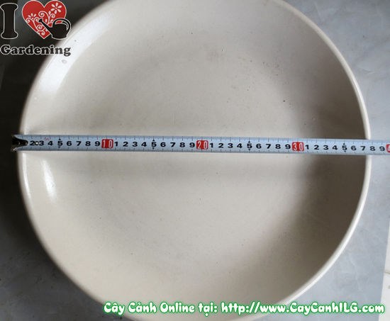Dĩa lót men trắng chất lượng cao ILG - kiểm tra kỹ trước khi bán