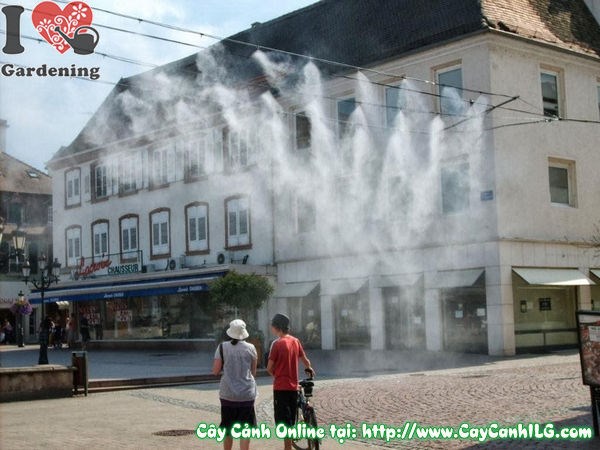 Hệ thống phun sương làm mát ngoài trời cho nhà hàng sân vườn