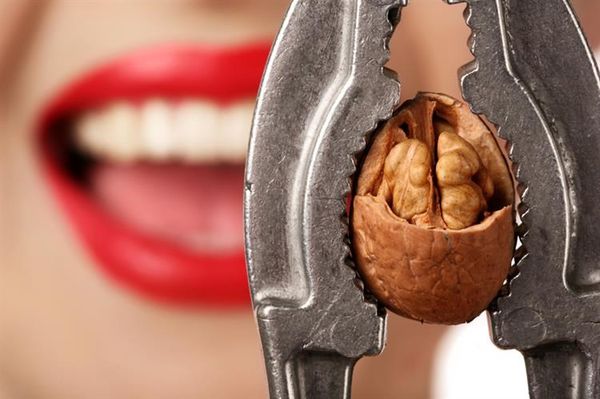 Nhân óc chó và những điều có thể bạn chưa biết