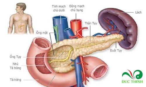 dia chi ban day thia canh tri tieu duong 2