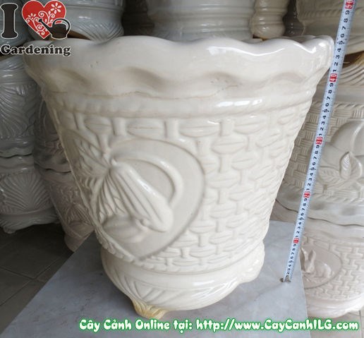 Chậu ba chân men trắng tròn quả khế - ý nghĩa phong thủy
