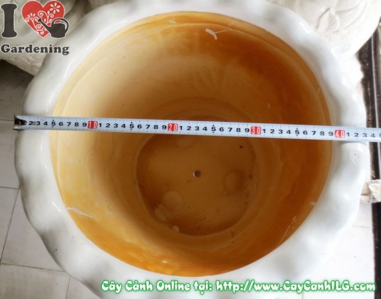 Chậu men trắng tứ quý 42cm ứng dụng trang trí không gian