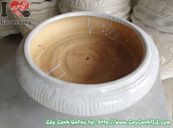 Chậu bonsai men trắng tròn - thiết kế trang nhã, phù hợp mọi không gian