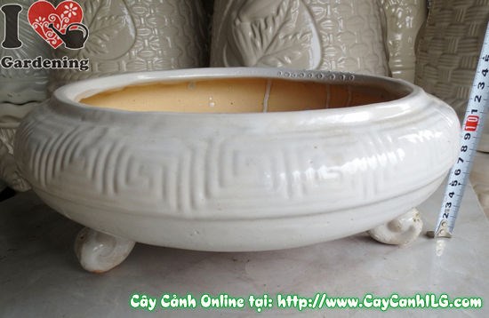 Chậu bonsai men trắng tròn cao 12cm - góc chụp chi tiết 2