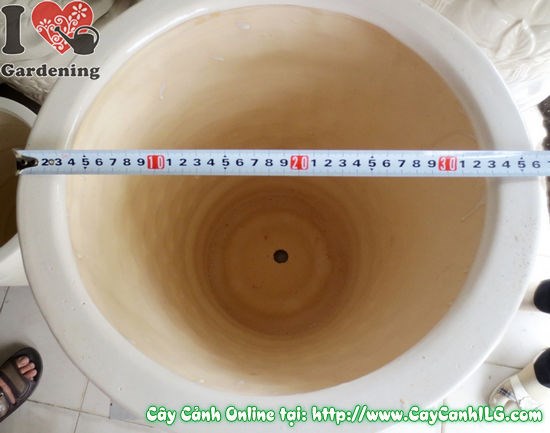 Chậu giỏ men trắng tròn mẫu 1 – tổng thể sản phẩm