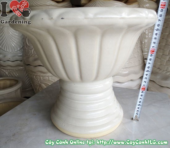 Chi tiết bề mặt men trắng chậu ly men tròn mẫu 6 cao 29cm