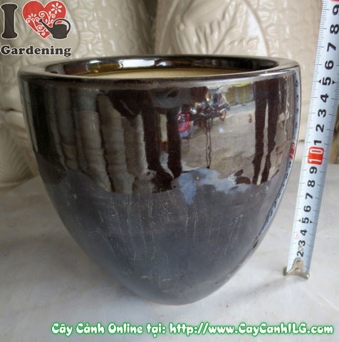 Chậu men đen tròn nhẵn cao 16cm Ms 04897 - góc chụp khác