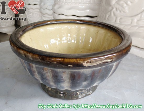 Mẹo bảo dưỡng và làm đẹp Chậu Men Nâu Đen