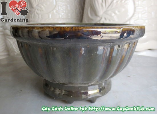 Chậu Men Nâu Đen Tròn Hình Tô – sản phẩm chính hãng tại ILG