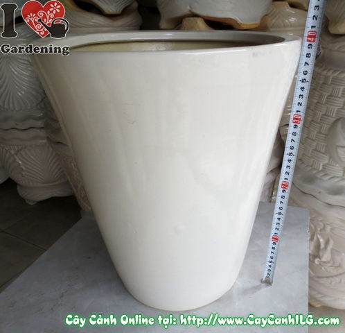 Chậu men trắng tròn nhẵn – chi tiết bề mặt men bóng mịn