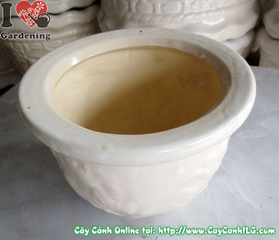 Chậu men trắng tròn thấp mẫu 1 – thiết kế thanh lịch, chống thấm tốt