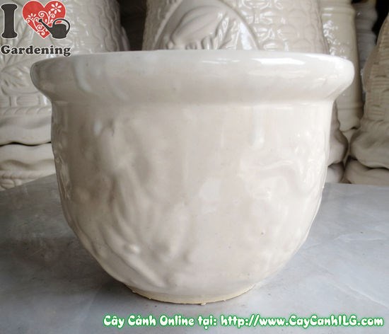 Chậu men trắng tròn thấp mẫu 1 – phù hợp trồng sen đá, xương rồng, cây mini