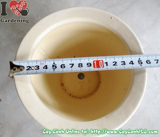 Chậu men trắng tròn thấp mẫu 3 cao 12cm Ms 04929 - nhỏ xinh tinh tế