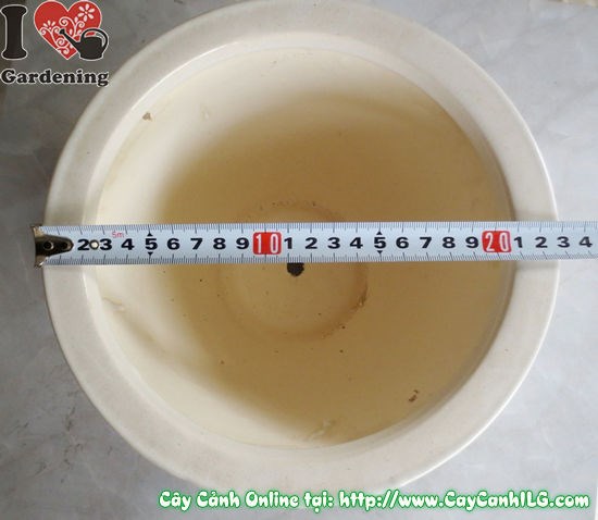 Chậu men trắng tròn thấp mẫu 3 cao 16cm ms 04927 - ILG