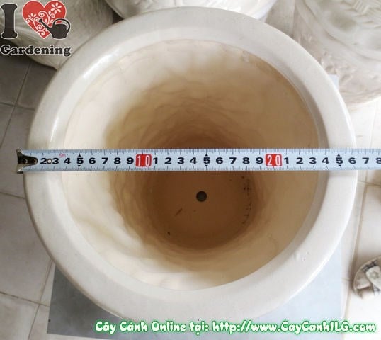 Chậu trúc men trắng tròn thắt đáy mẫu 3 cao 33cm – góc nhìn ngang