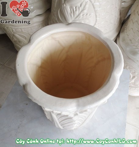 Chậu trúc men trắng tròn túm đáy mẫu 1 - góc nhìn 2