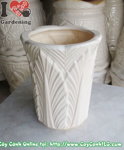 Chậu trúc men trắng tròn túm đáy mẫu 1 - ứng dụng trưng bày
