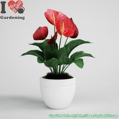 Chậu composite chất lượng cao dùng cho dự án cảnh quan