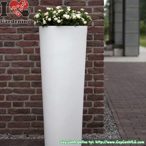 Chậu composite đẹp trồng cây cảnh