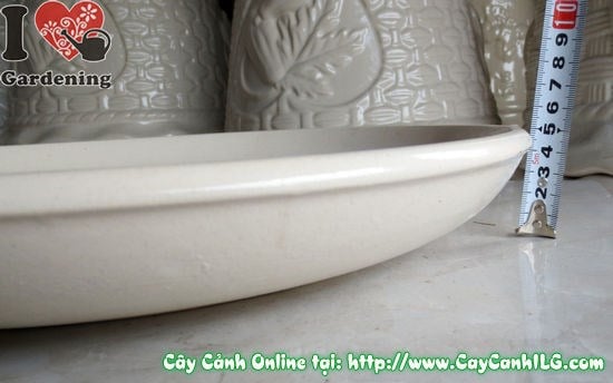 Ý nghĩa phong thủy dĩa lót men trắng tròn chậu cây cảnh