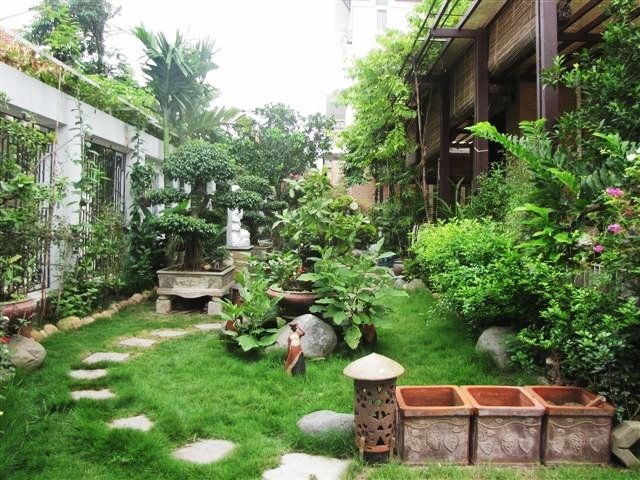 Sân vườn đẹp sau thi công – cảnh quan xanh mát cho nhà phố và công trình thương mại