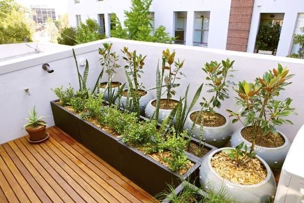 Mẫu tiểu cảnh ban công sân thượng đẹp – tham khảo thiết kế từ ILG