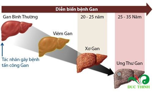 cong dung cay xa den tri bach benh 2
