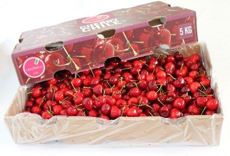 Giá trị dinh dưỡng của quả cherry Chi lê